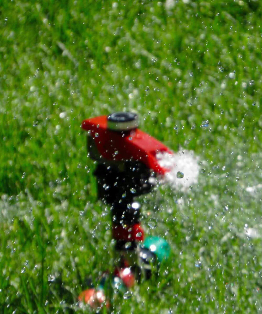 a portrait garden sprinkler by P.D.E Services
